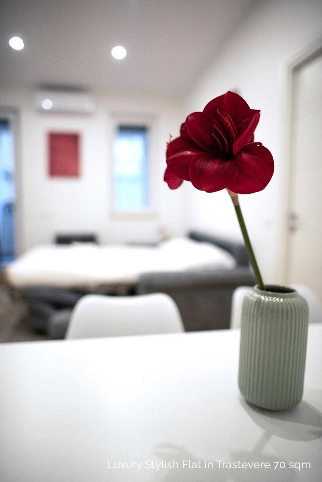 La Dolce Vita - Luxury Stylish Flats In Trastevere 70-90Sqm Roma Eksteriør bilde